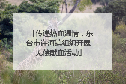传递热血温情，东台市许河镇组织开展无偿献血活动