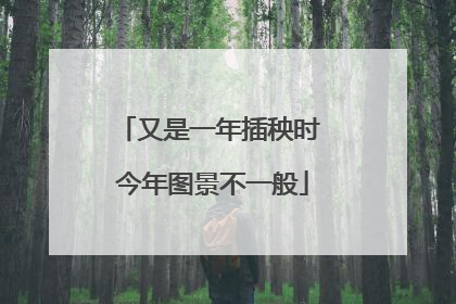 又是一年插秧时 今年图景不一般
