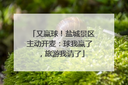 又赢球！盐城景区主动开麦：球我赢了，旅游我请了