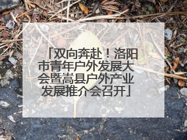 双向奔赴！洛阳市青年户外发展大会暨嵩县户外产业发展推介会召开