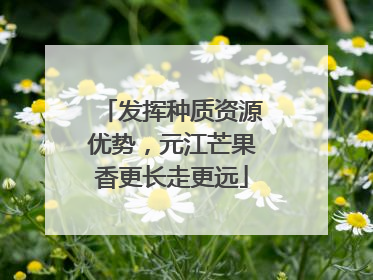 发挥种质资源优势，元江芒果香更长走更远