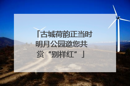古城荷韵正当时 明月公园邀您共赏“别样红”