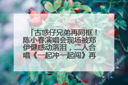 古惑仔兄弟再同框！陈小春演唱会现场被郑伊健感动落泪，二人合唱《一起冲一起闯》再现青春回忆