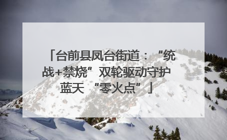 台前县凤台街道:“统战+禁烧”双轮驱动守护蓝天 “零火点”