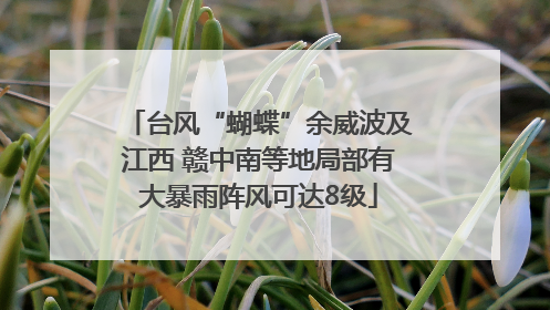 台风“蝴蝶”余威波及江西 赣中南等地局部有大暴雨阵风可达8级