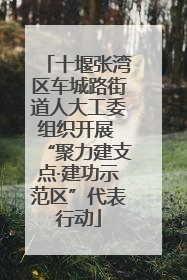 十堰张湾区车城路街道人大工委组织开展 “聚力建支点·建功示范区”代表行动