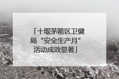十堰茅箭区卫健局“安全生产月”活动成效显著