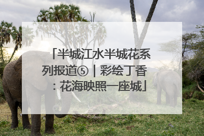 半城江水半城花系列报道⑤｜彩绘丁香：花海映照一座城