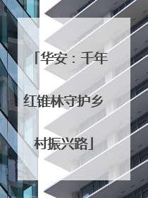华安：千年红锥林守护乡村振兴路