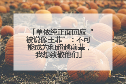 单依纯正面回应“被说像王菲”：不可能成为和超越前辈，我想致敬他们