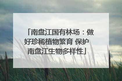 南盘江国有林场：做好珍稀植物繁育 保护南盘江生物多样性