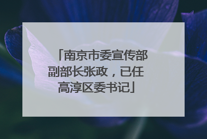 南京市委宣传部副部长张政，已任高淳区委书记