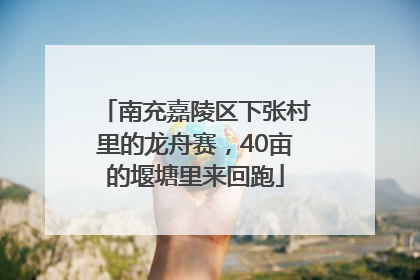 南充嘉陵区下张村里的龙舟赛，40亩的堰塘里来回跑
