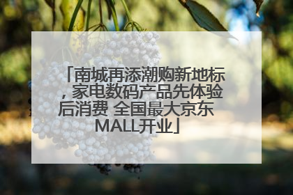 南城再添潮购新地标，家电数码产品先体验后消费 全国最大京东MALL开业