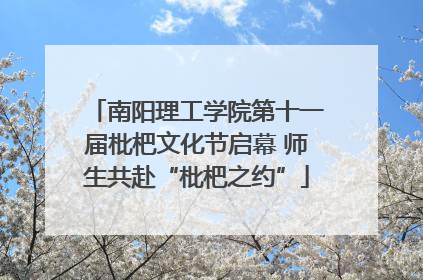 南阳理工学院第十一届枇杷文化节启幕 师生共赴“枇杷之约”