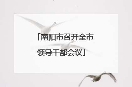 南阳市召开全市领导干部会议