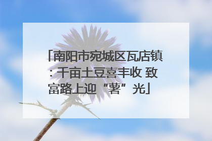南阳市宛城区瓦店镇：千亩土豆喜丰收 致富路上迎“薯”光