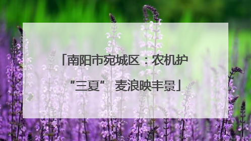 南阳市宛城区：农机护“三夏” 麦浪映丰景
