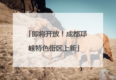 即将开放！成都邛崃特色街区上新