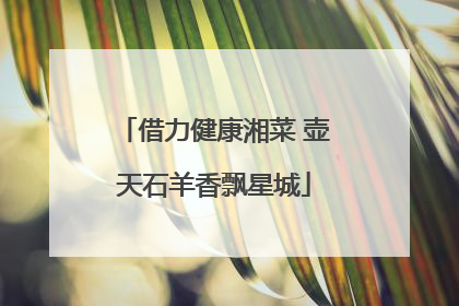 借力健康湘菜 壶天石羊香飘星城