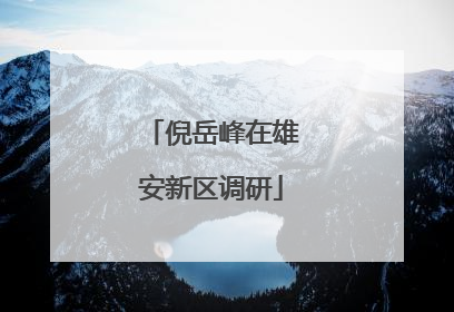 倪岳峰在雄安新区调研