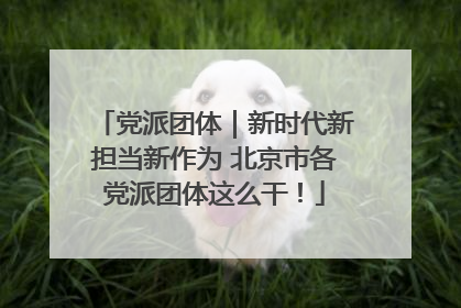 党派团体｜新时代新担当新作为 北京市各党派团体这么干！