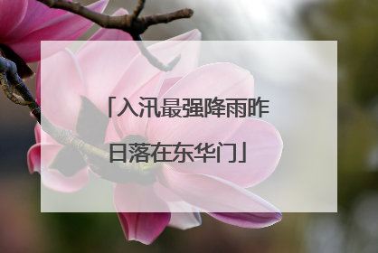 入汛最强降雨昨日落在东华门