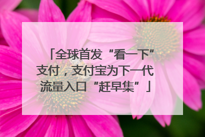 全球首发“看一下”支付，支付宝为下一代流量入口“赶早集”