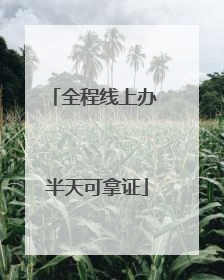 全程线上办 半天可拿证