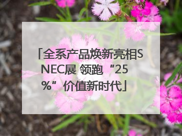 全系产品焕新亮相SNEC展 领跑“25%”价值新时代