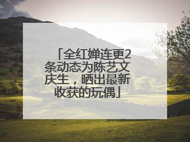 全红婵连更2条动态为陈艺文庆生，晒出最新收获的玩偶