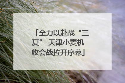 全力以赴战“三夏” 天津小麦机收会战拉开序幕