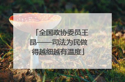 全国政协委员王昆——司法为民做得越细越有温度