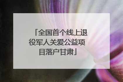 全国首个线上退役军人关爱公益项目落户甘肃