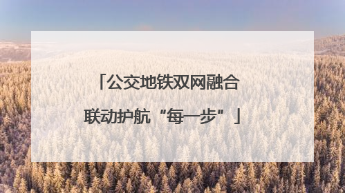 公交地铁双网融合 联动护航“每一步”