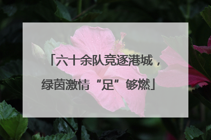 六十余队竞逐港城，绿茵激情“足”够燃
