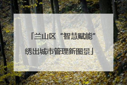 兰山区“智慧赋能”绣出城市管理新图景