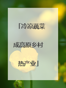 冷凉蔬菜成高原乡村热产业