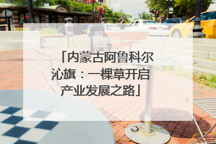 内蒙古阿鲁科尔沁旗：一棵草开启产业发展之路