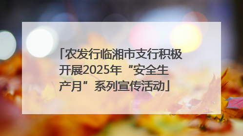 农发行临湘市支行积极开展2025年“安全生产月”系列宣传活动