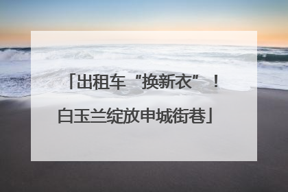 出租车“换新衣”！白玉兰绽放申城街巷