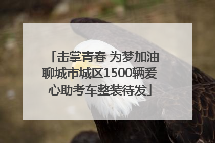 击掌青春 为梦加油 聊城市城区1500辆爱心助考车整装待发
