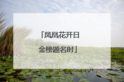 凤凰花开日 金榜题名时