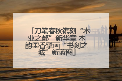 刀笔春秋镌刻“木业之都”新华章 木韵墨香擘画“书刻之城”新蓝图