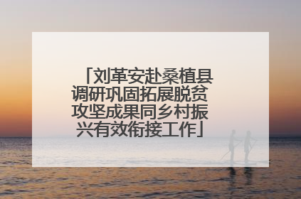 刘革安赴桑植县调研巩固拓展脱贫攻坚成果同乡村振兴有效衔接工作