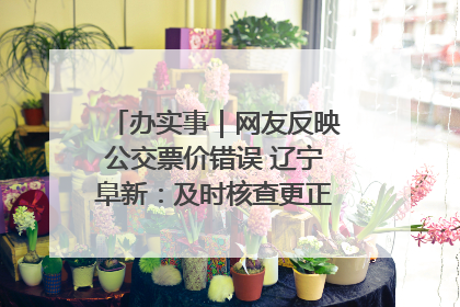 办实事｜网友反映公交票价错误 辽宁阜新：及时核查更正 加强实时巡检