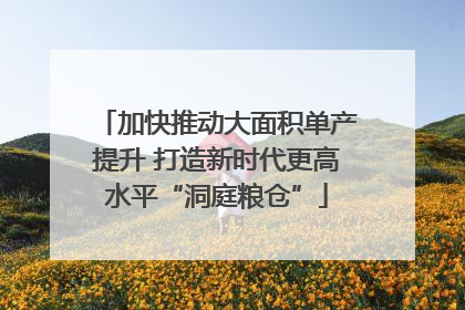 加快推动大面积单产提升 打造新时代更高水平“洞庭粮仓”