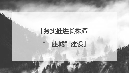 务实推进长株潭“一座城”建设