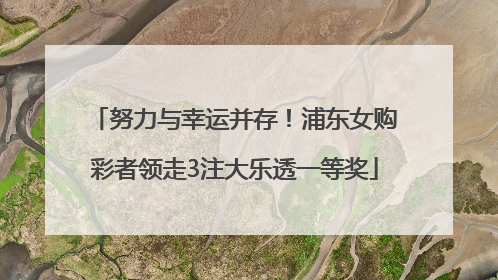 努力与幸运并存！浦东女购彩者领走3注大乐透一等奖