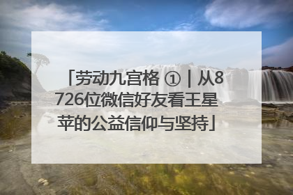 劳动九宫格 ①｜从8726位微信好友看王星苹的公益信仰与坚持